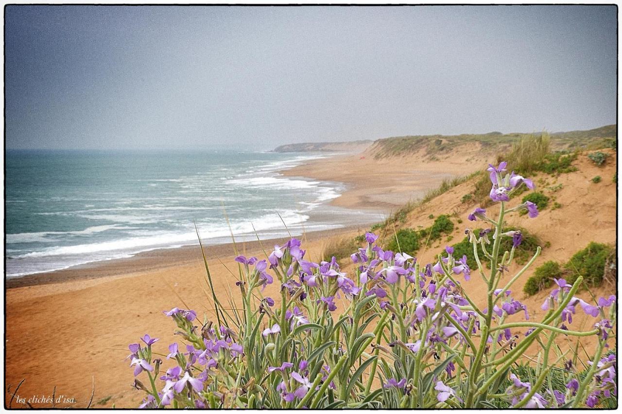 La Calypsette - Face Grande Plage Des Sables D'Olonne Ле-Сабль-д’Олон Экстерьер фото